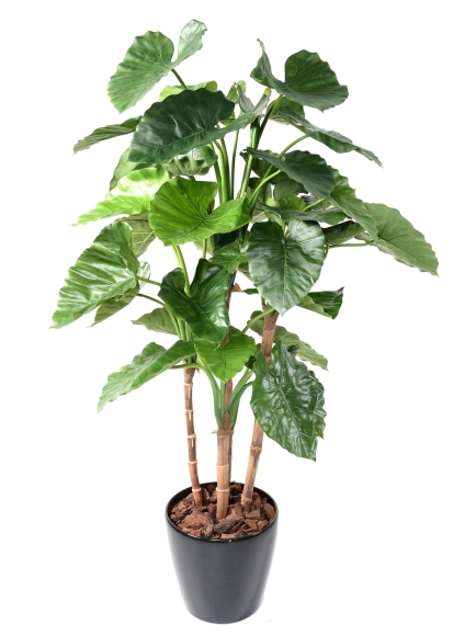 Alocasia Calidora artificiel 170 cm ANTI-FEU