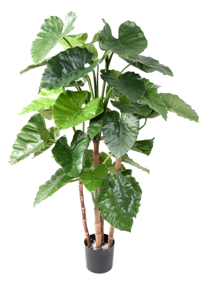 Alocasia Calidora artificiel 170 cm ANTI-FEU