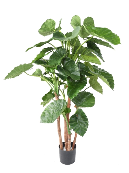 Alocasia Calidora artificiel 170 cm ANTI-FEU