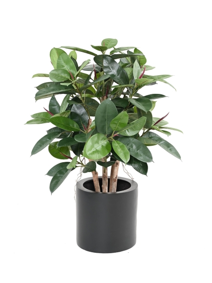 Ficus artificiel elastica - 90 cm