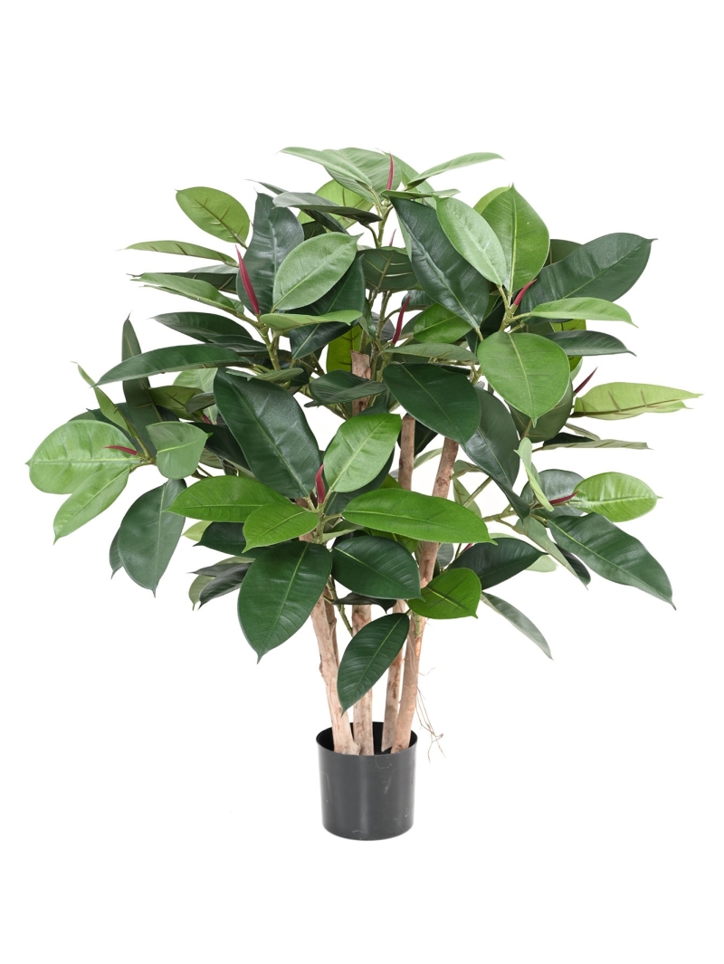 Ficus artificiel elastica - 90 cm