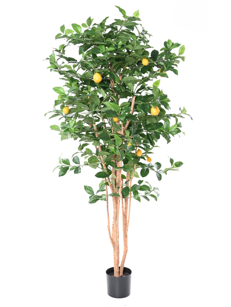 Citronnier new artificiel ANTI FEU