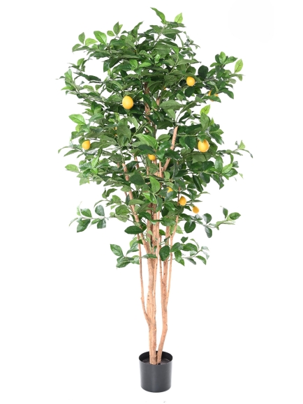 Citronnier new artificiel ANTI FEU