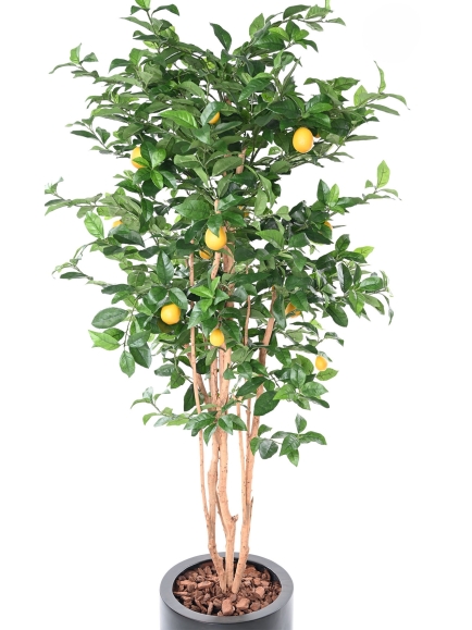 Citronnier new artificiel ANTI FEU