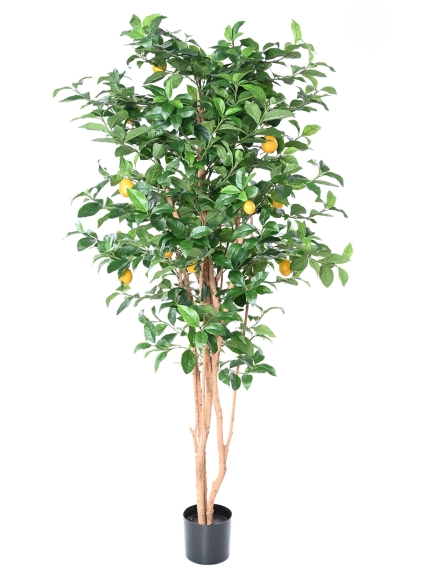 Citronnier new artificiel ANTI FEU