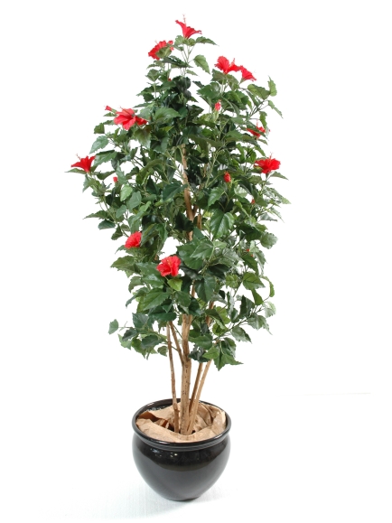 Hibiscus artificiel - Tronc bois naturel 150 cm