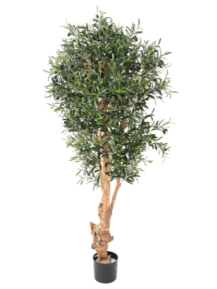 OLIVIER ARTIFICIEL TRONC NOUEUX ANTI-FEU