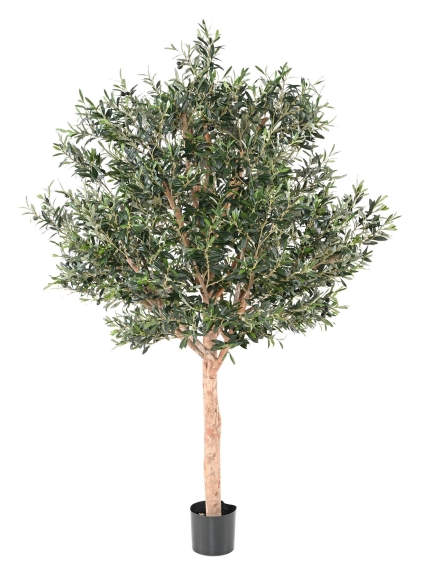 OLIVIER ARTIFICIEL TETE LARGE