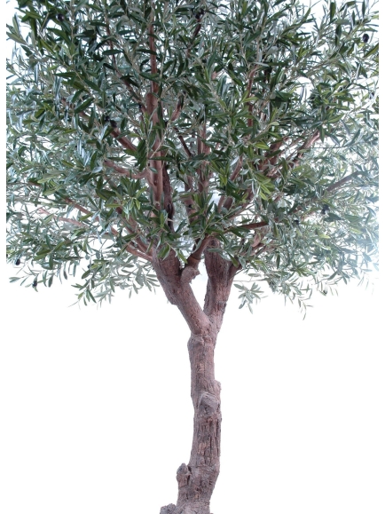 OLIVIER ARTIFICIEL TETE GEANT PLAST UV 270 CM