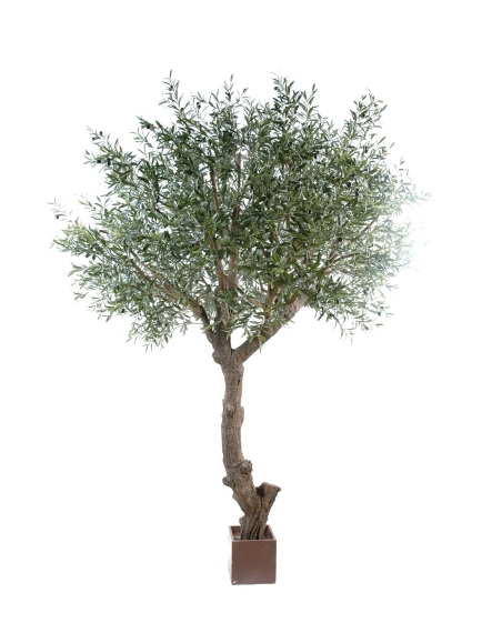 OLIVIER ARTIFICIEL TETE GEANT PLAST UV 270 CM