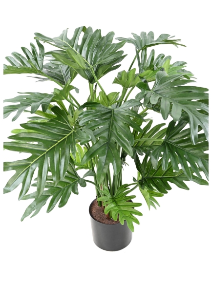 Phillodendron artificiel SELLOUM