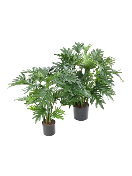 Phillodendron artificiel SELLOUM