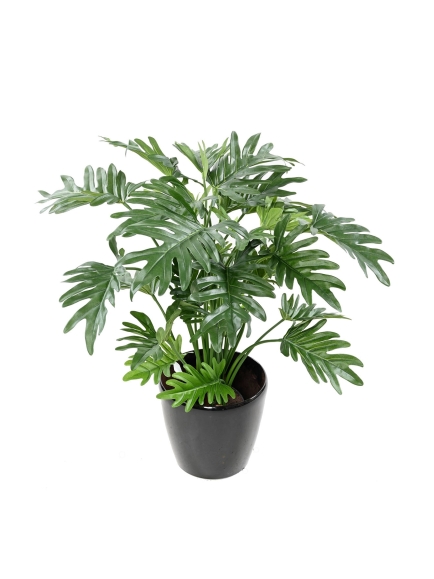 Phillodendron artificiel SELLOUM