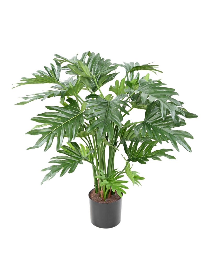 Phillodendron artificiel SELLOUM