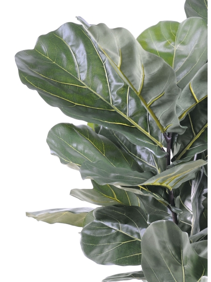 Ficus artificiel lyrata anti-feu