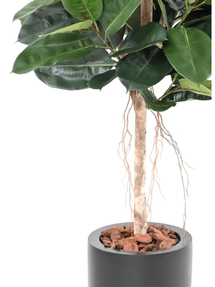 Ficus elastica ARTIFICIEL (ficus caoutchouc) ANTI FEU