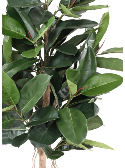 Ficus elastica ARTIFICIEL (ficus caoutchouc) ANTI FEU