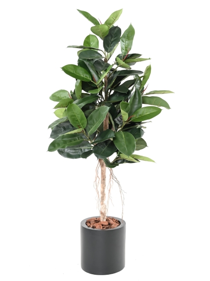 Ficus elastica ARTIFICIEL (ficus caoutchouc) ANTI FEU