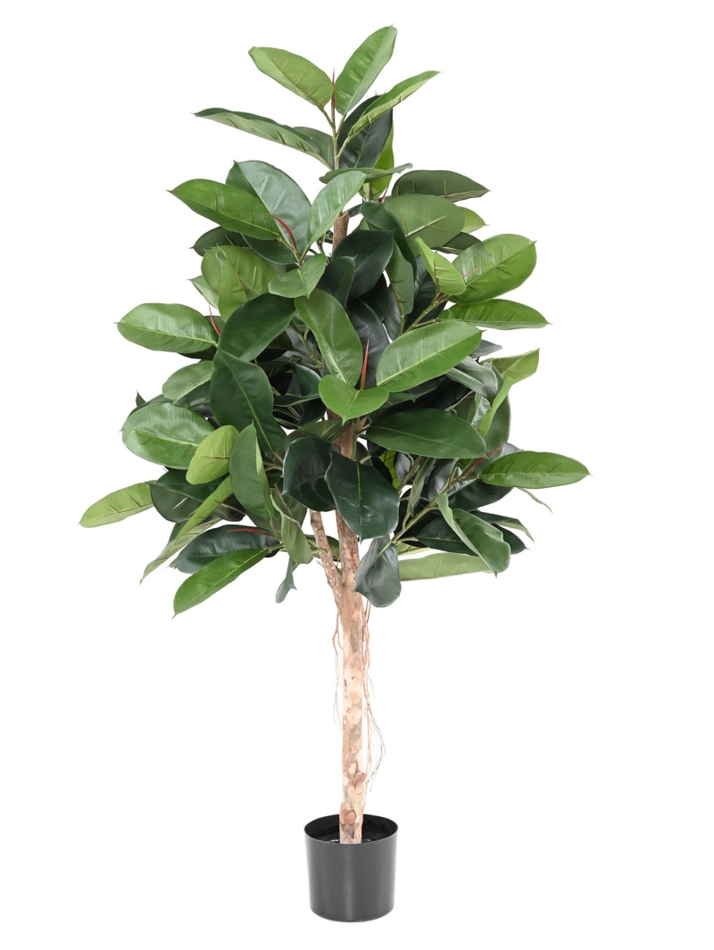 Ficus elastica ARTIFICIEL (ficus caoutchouc) ANTI FEU
