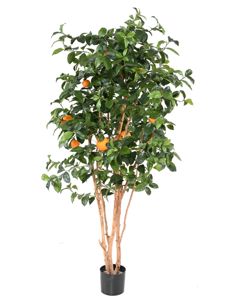 Oranger artificiel goldeb 180 cm