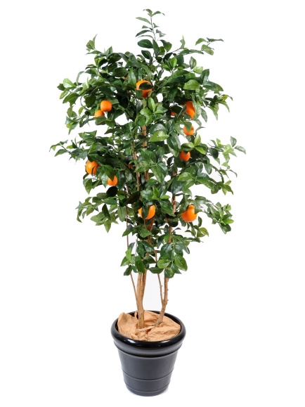 Oranger artificiel goldeb 180 cm