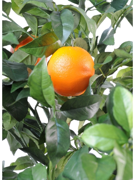 Oranger artificiel goldeb 180 cm