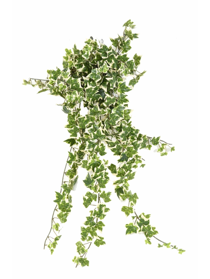 Lierres artificiels 504 feuilles 60 cm