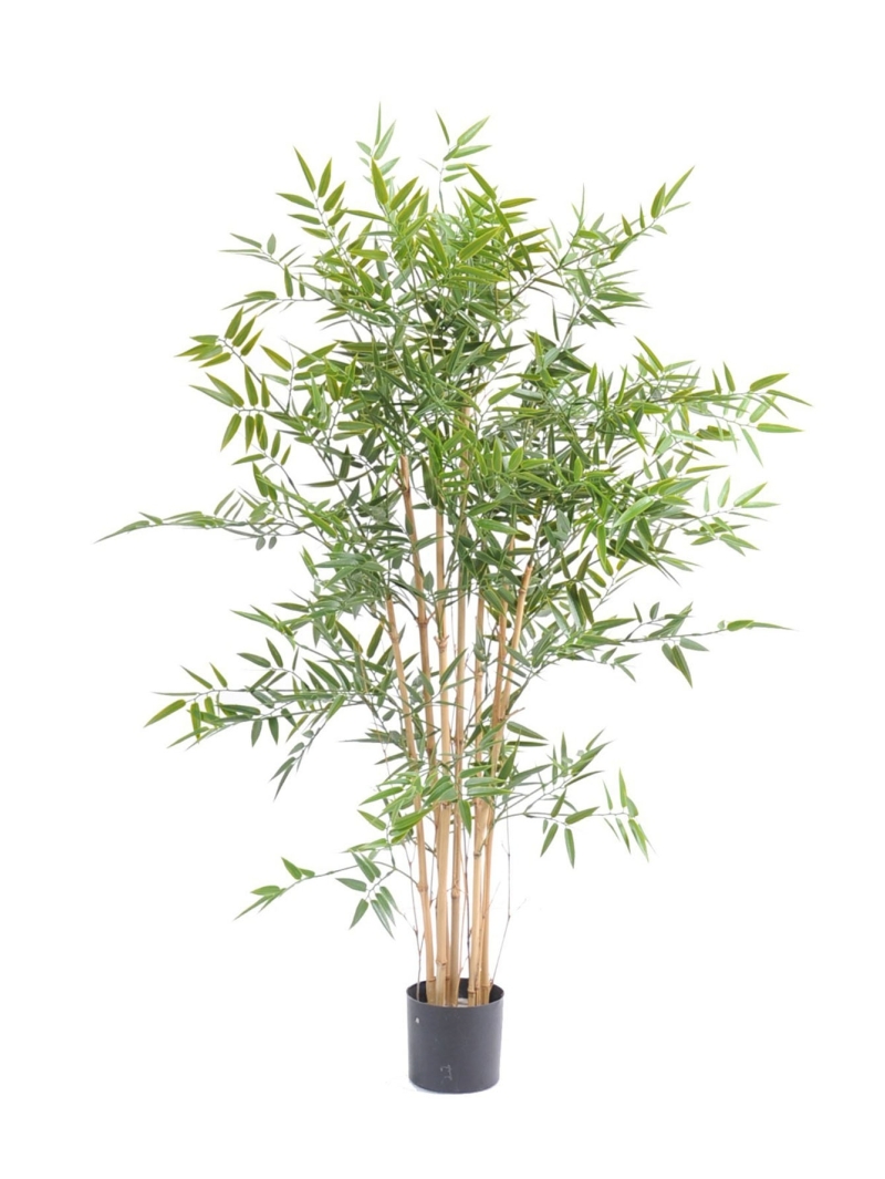 Bambou artificiel Japanese TRAITE ANTI FEU
