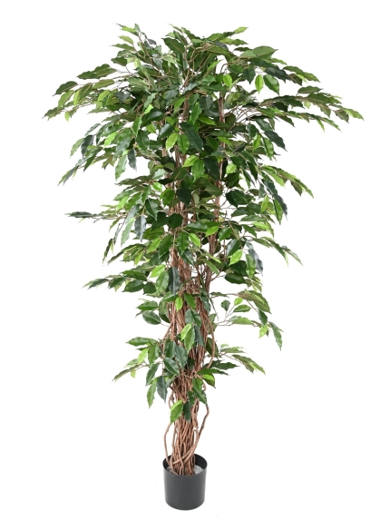 FICUS ARTIFICIEL TRONC BOIS NATUREL - ANTI FEU