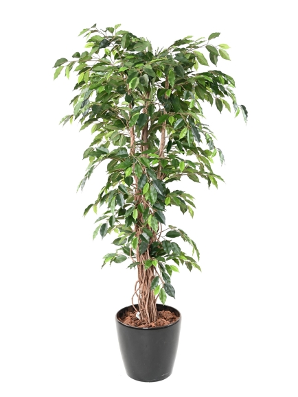 FICUS ARTIFICIEL TRONC BOIS NATUREL - ANTI FEU