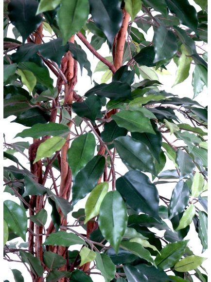FICUS ARTIFICIEL TRONC BOIS NATUREL - ANTI FEU