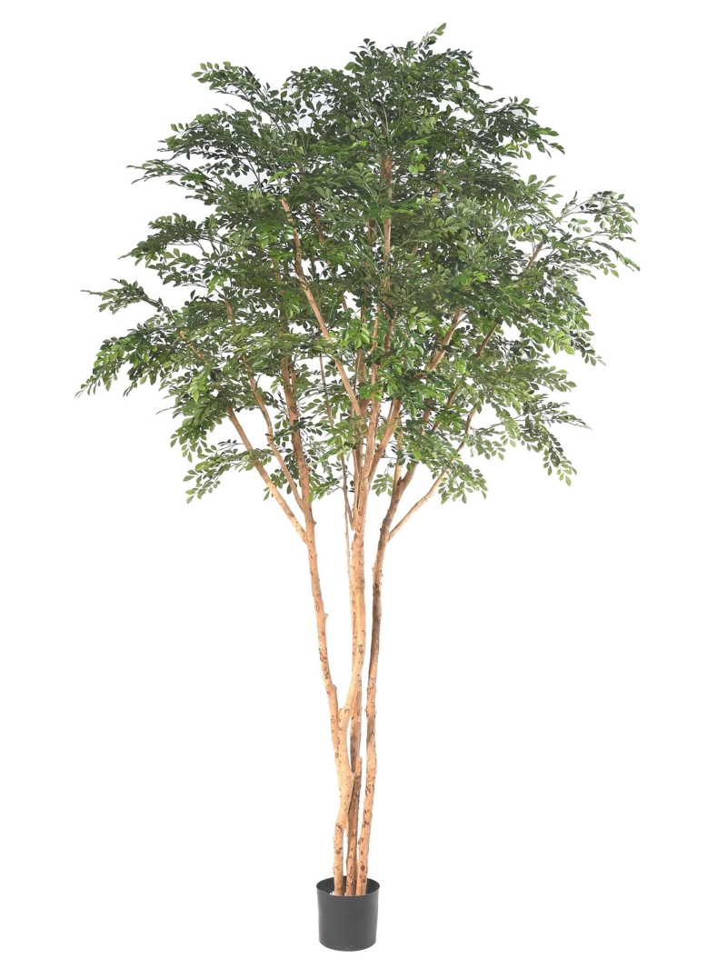 Arbre Bucida artificiel géant ANTI FEU