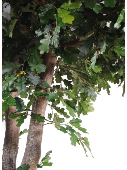 Chêne arbre artificiel ANTI FEU