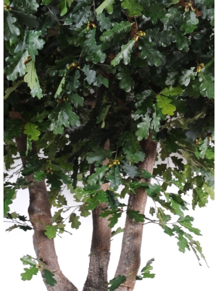 Chêne arbre artificiel ANTI FEU