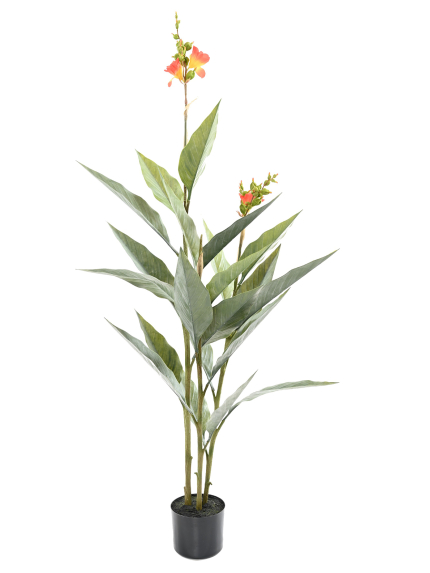 Canna artificiel - 99,90 €