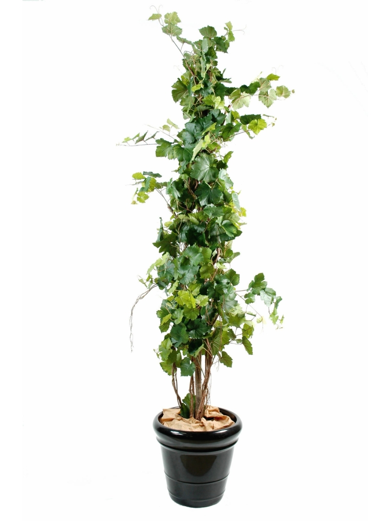 Vigne artificielle tree 200 cm