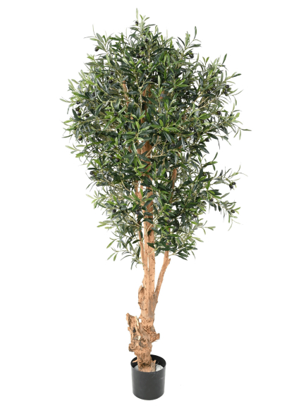 Olivier artificiel tronc bois noueux - 240,00 €