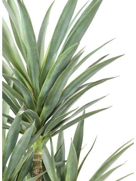Yucca artificiel rapier - 249,00 €