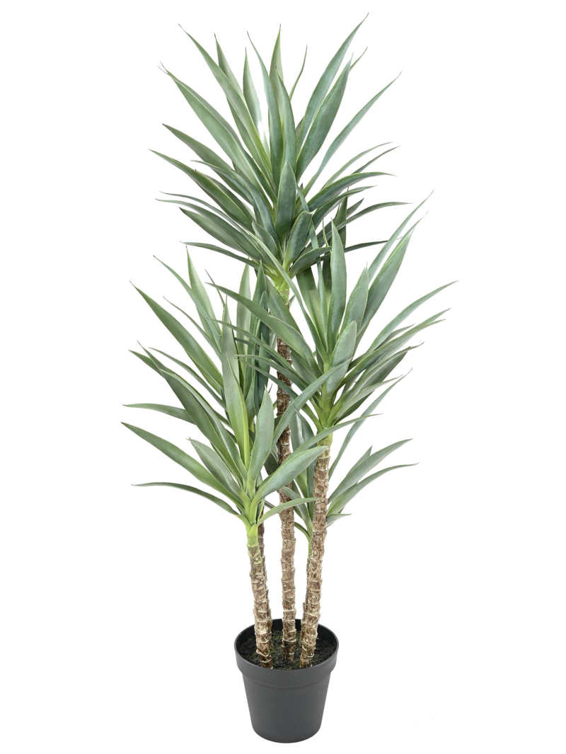 Yucca artificiel rapier - 249,00 €