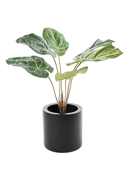 Caladium artificiel en piquet - Déco Mundo