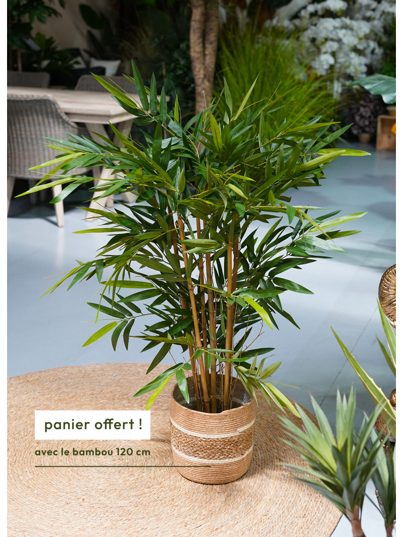 Bambou new artificiel - 89,00 €