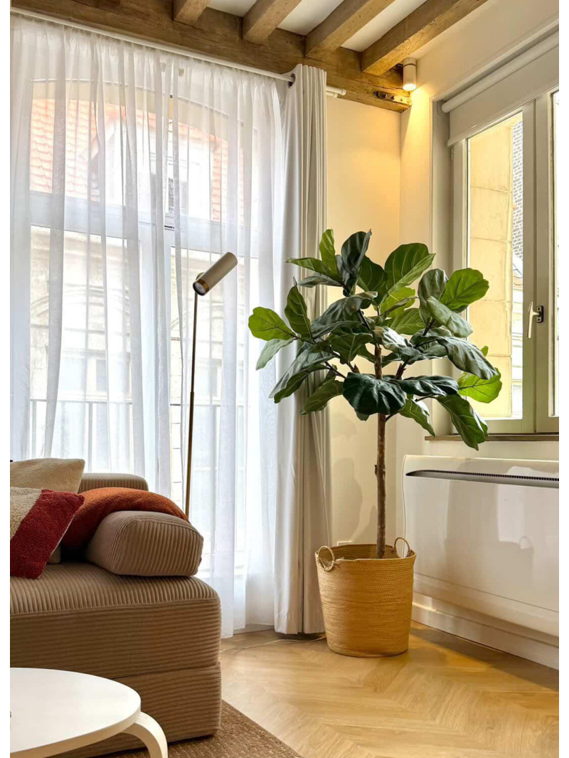 Ficus lyrata artificiel tige - 159,00 €
