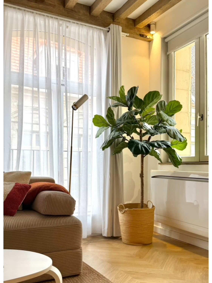 Ficus lyrata artificiel tige - 159,00 €