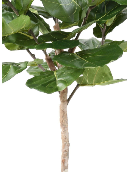 Ficus lyrata artificiel tige - 159,00 €