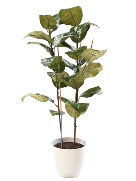 Ficus elastica artificiel 113 cm - Déco Mundo