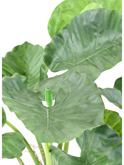 Alocasia calidora artificiel - 95,00 €