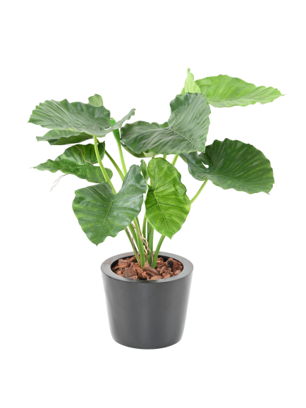 Alocasia calidora artificiel - 95,00 €