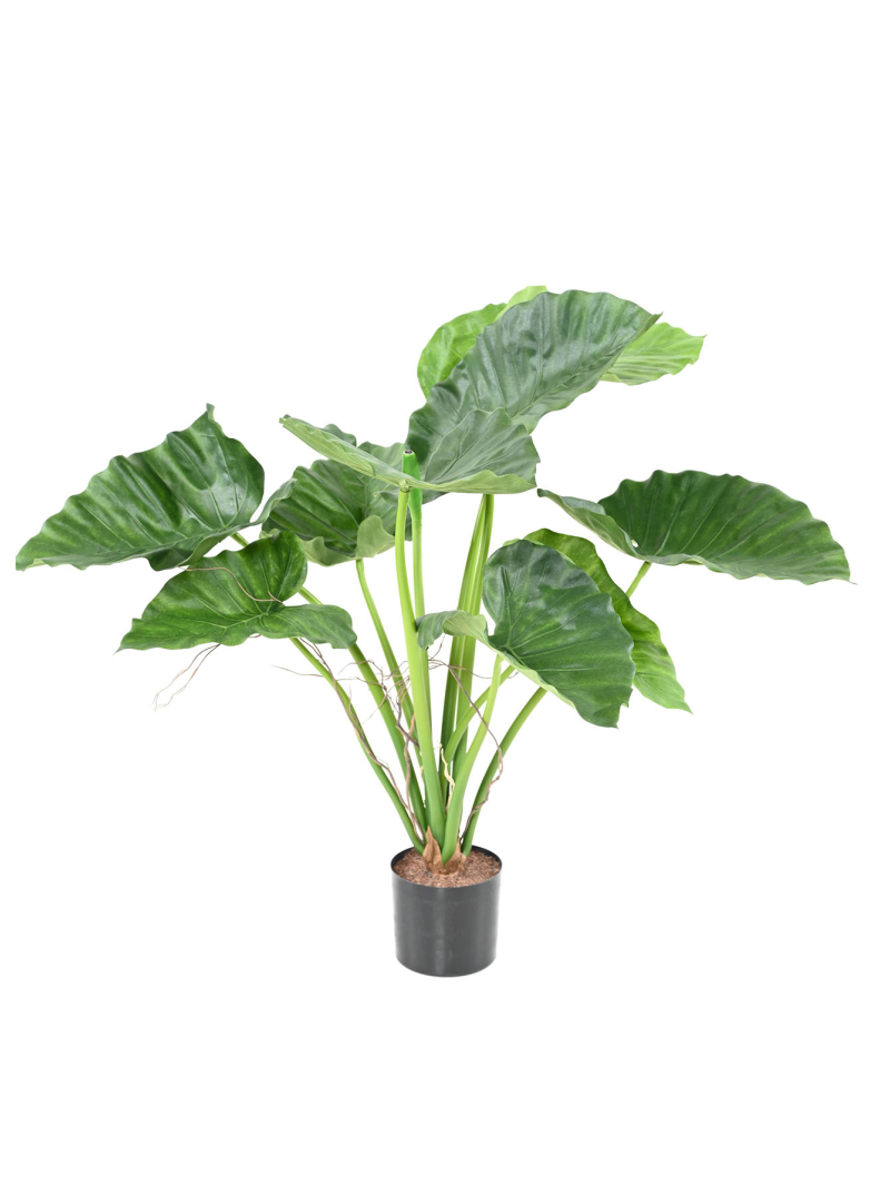 Alocasia calidora artificiel - 95,00 €