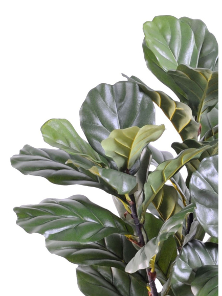 Ficus artificiel lyrata - 95,00 €