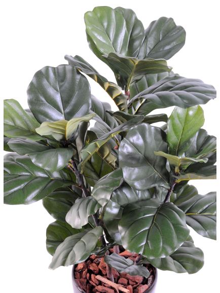 Ficus artificiel lyrata - 95,00 €